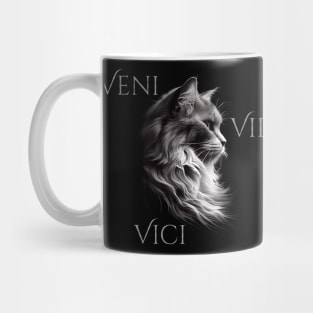 Veni - Vidi - Vici Mug